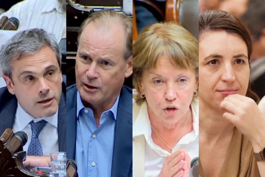 Guillermo Michel, Gustavo Bordet, Blanca Osuna y Marianela Marclay.