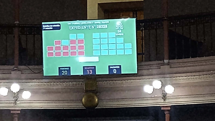 El oficialismo se impuso con 20 votos contra 13 de la oposición.