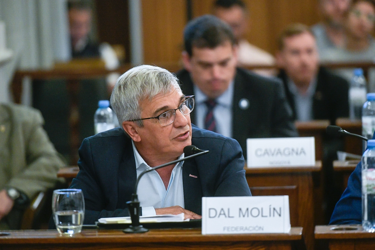 Presidente del bloque oficialista en la Cámara de Senadores, Rubén Dal Molín.