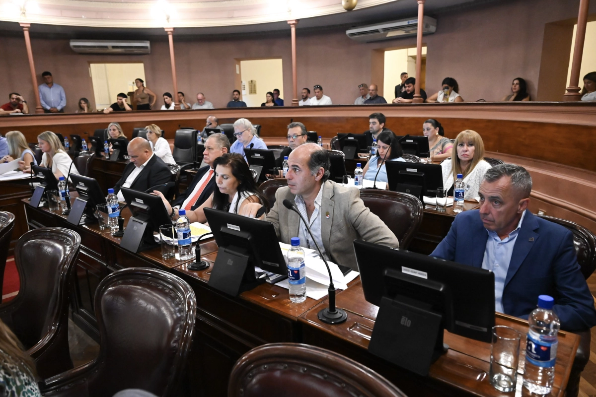 Diputados no hizo lugar a uno de los pedidos de juicio pol&iacute;tico contra Medina de Rizzo