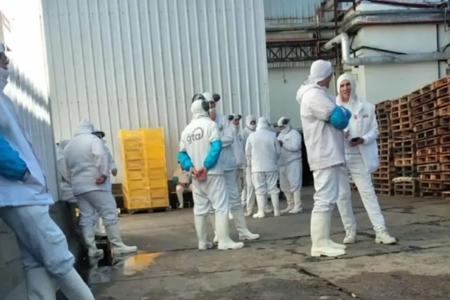 Granja Tres Arroyos de Concepci&oacute;n del Uruguay paraliz&oacute; su planta y peligran 1.000 fuentes laborales