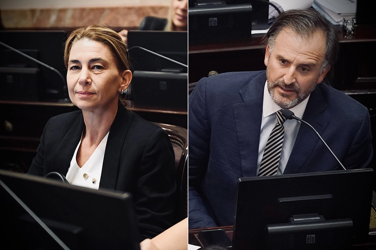 La senadora Almeida y su par Benegas Lynch (LLA).