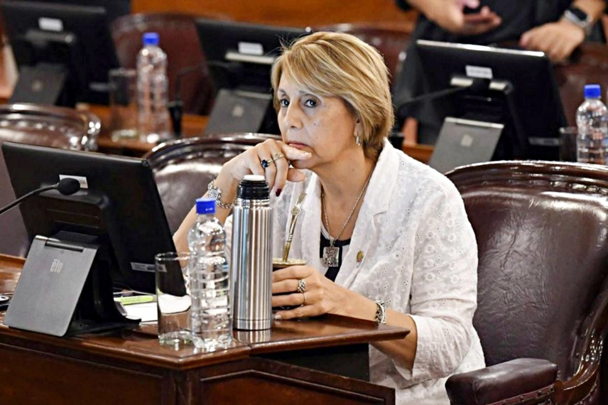 Liliana Salinas, diputada provincial.