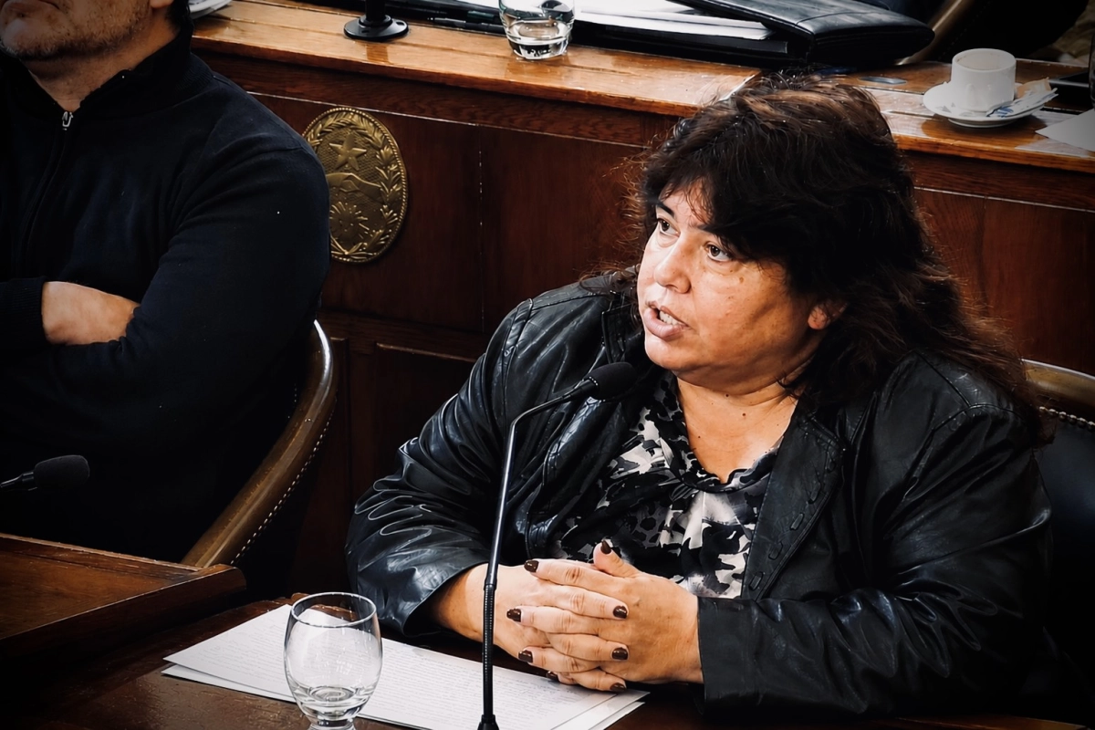 Nancy Miranda, senadora provincial (PJ - Federal).