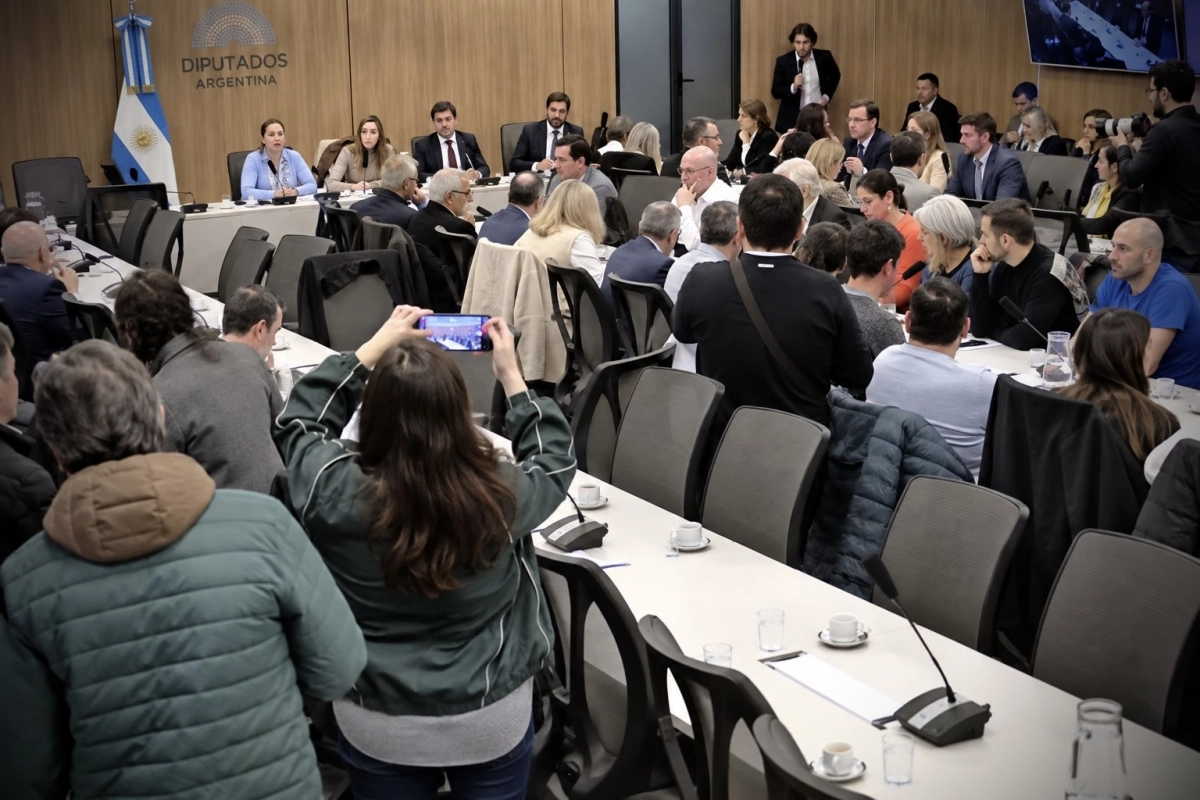 Trabajadores despedidos expusieron en la reuni&oacute;n de la comisi&oacute;n de Econom&iacute;a de la C&aacute;mara de Diputados de la Naci&oacute;n.
